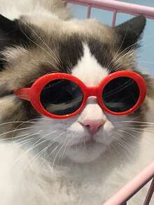 1pc Plastic Pet Glasses For Dogs And Cats - Red - View 1