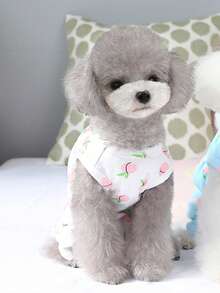 寵物腹部衣褲,術後預防性衣物消毒後護理衣物,貓咪結紮套裝新寵物衣服 - 白色 - 查看 3