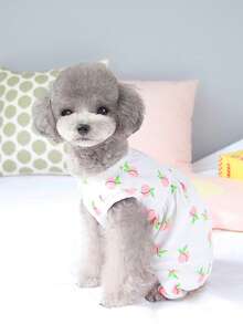 寵物腹部衣褲,術後預防性衣物消毒後護理衣物,貓咪結紮套裝新寵物衣服 - 白色 - 查看 4