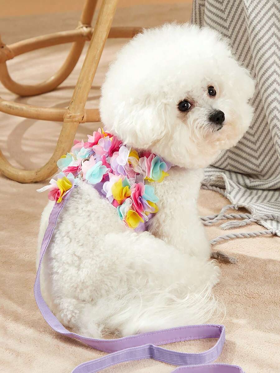 PETSIN 1入組花朵裝飾寵物背帶和1条皮带 - 彩色 - 查看 1