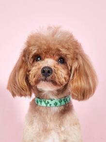 1 chiếc vòng cổ nylon điều chỉnh được cho chó mèo, đồ dùng cho thú cưng, phụ kiện cho chó mèo, phù hợp cho chó và mèo nhỏ, kèm dây xích, cho phép chó chơi đùa vui vẻ ngoài trời (Kích thước sản phẩm nhỏ hơn so với bình thường, nên đặt mua lớn hơn 1-2 cỡ) - Nhiều màu - Xem 2