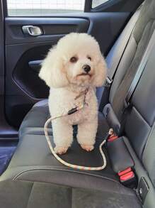 10mm Nylon Reinforced Round Rope, Multi-Color, Puncture Resistant Car Safety Leash, Suitable For Pets, Cats And Car Accessories, Can Be Used For Outdoor And Car Seat - Multicolor - View 3