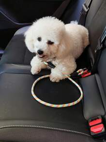 10mm Nylon Reinforced Round Rope, Multi-Color, Puncture Resistant Car Safety Leash, Suitable For Pets, Cats And Car Accessories, Can Be Used For Outdoor And Car Seat - Multicolor - View 9