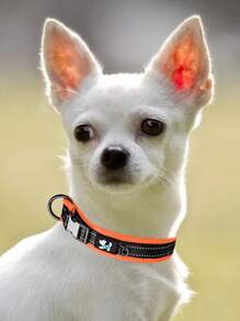 1入組橘色可調節寵物項圈適用於戶外 - 橘色 - 查看 3