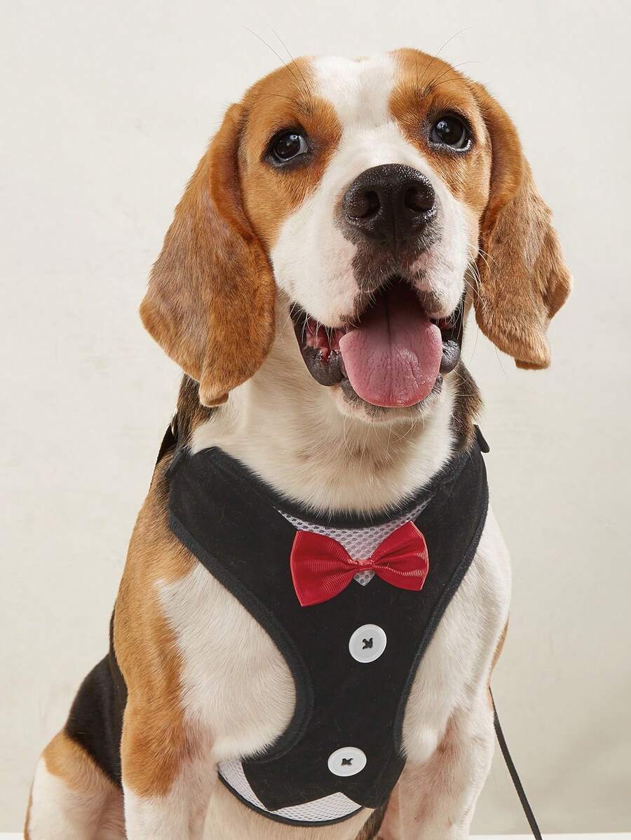 1入組蝴蝶結裝飾寵物背帶&1条皮带適用於狗狗 - 黑色 - 查看 1