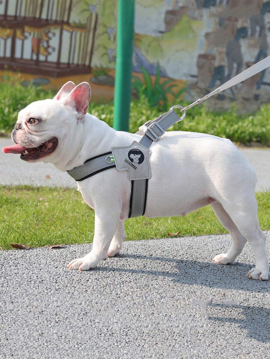 1入組透氣寵物背帶適用於狗狗適用於戶外 - 彩色 - 查看 1