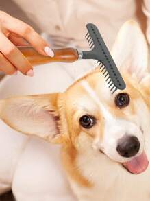 Lược chải lông Thú cưng - màu nâu - Xem 1