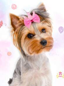 5pcs Random Color Bow Design Pet Hair Clip For Dog And Cat - Multicolor - View 9