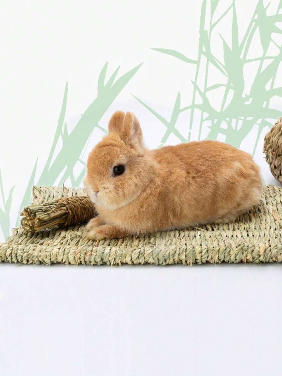 1 tấm lót chuồng thú cưng dệt cho chuột hamster và thỏ ngủ - màu xanh lá - Xem 1