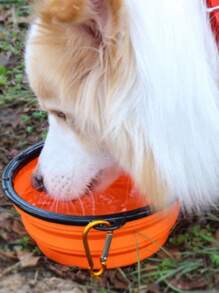 1 pieza Bol plegable al azar de mascota de viaje - Multicolor - Ver 2