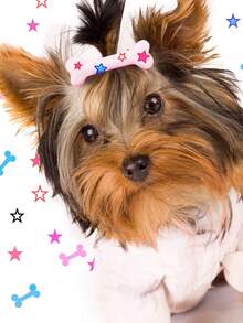 2pcs Star Print Bone Design Pet Hair Clip For Dog And Cat For Decoration - Pink - View 1