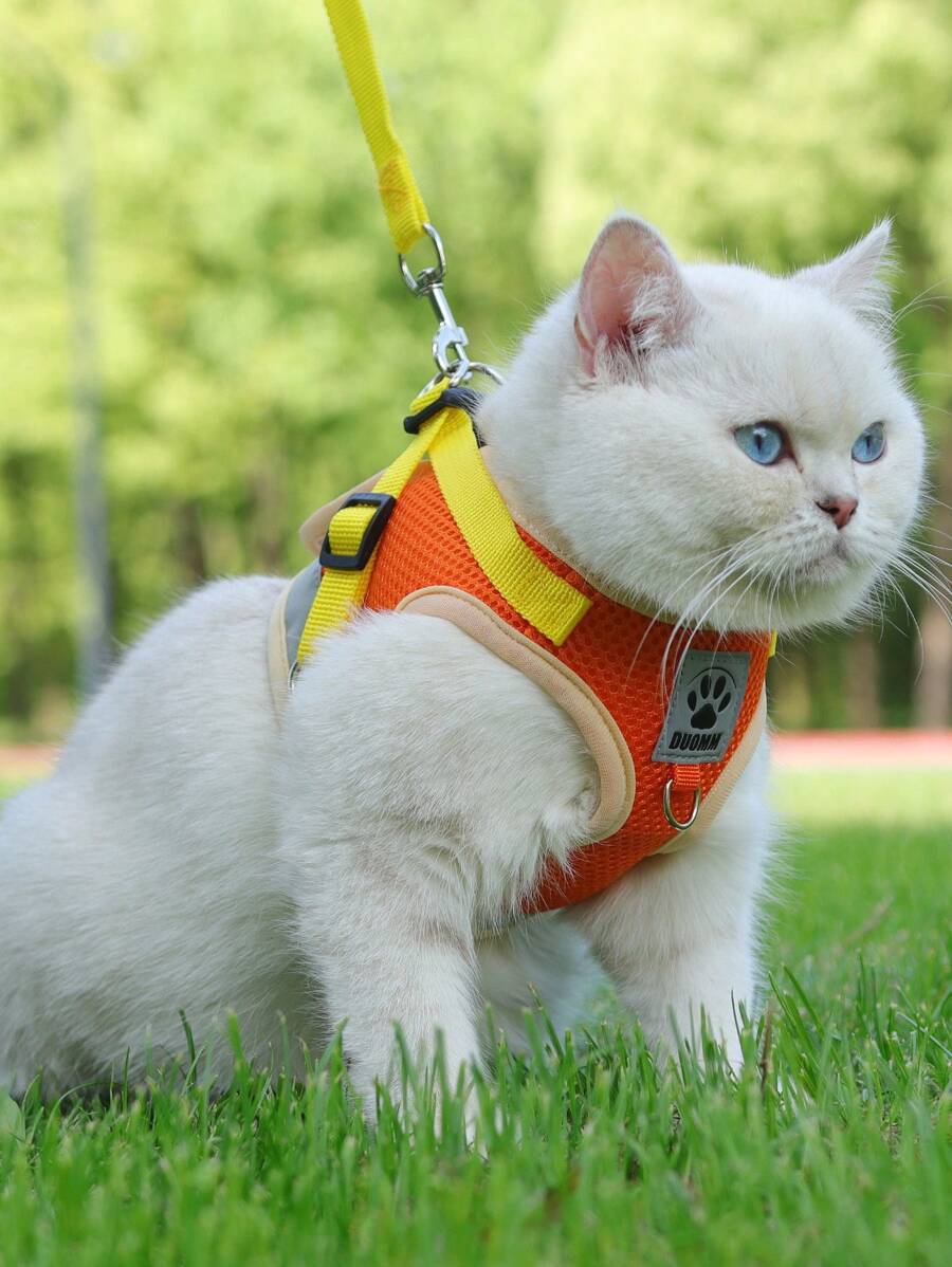 1入組爪子設計寵物背帶&1条皮带適用於狗狗和貓適用於戶外 - 橘色 - 查看 1