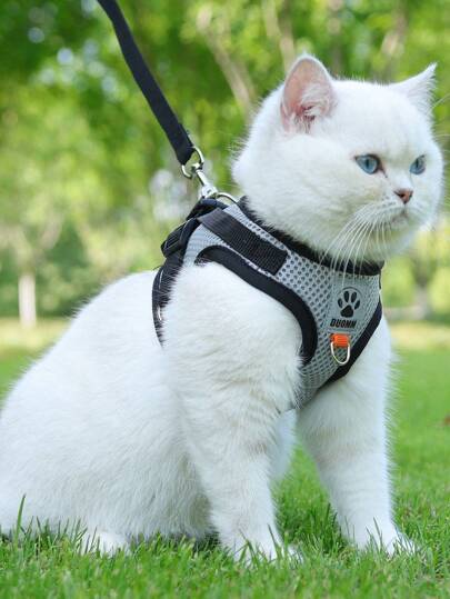 1pc Paw Design Pet Harness & 1pc Leash For Dog And Cat For Outdoor