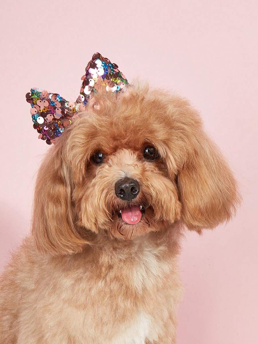 1pc Sequins Design Random Pet Hair Clip For Dog And Cat For Decoration - Multicolor - View 1