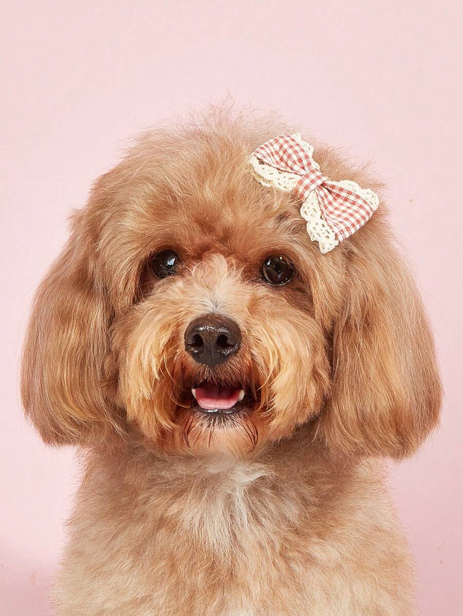 1pc Bow Design Random Pet Hair Clip For Dog And Cat For Decoration - Multicolor - View 1
