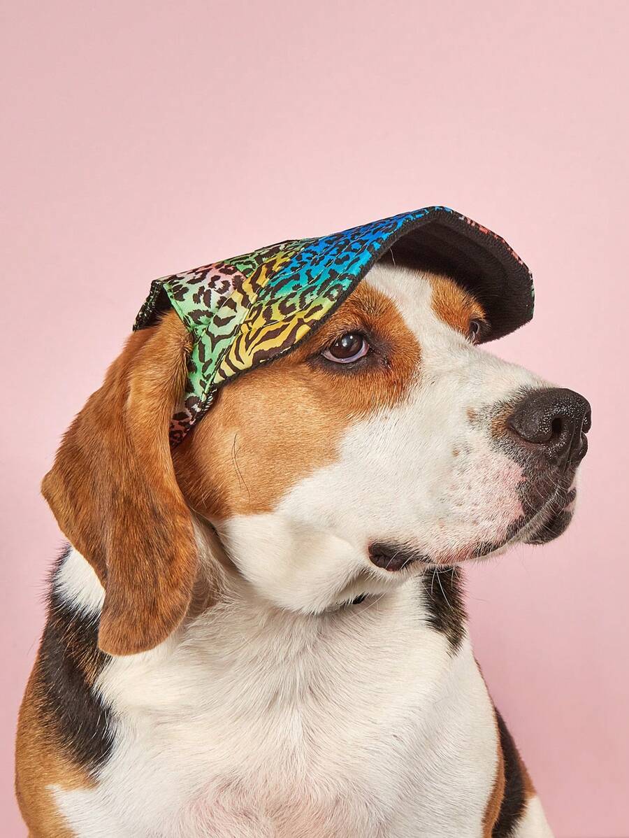 1入組豹紋印花寵物帽子 - 彩色 - 查看 1