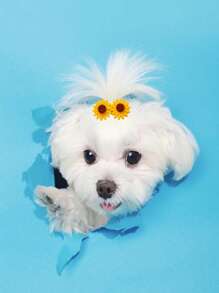 2pcs Sunflower Decor Pet Hair Clip - Yellow - View 3