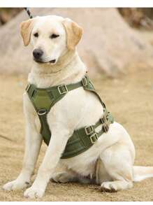 1pc Polyamide Pet Leash & Harness & Bag Set For Dog For Outdoor - Army Green - View 2