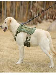 1pc Polyamide Pet Leash & Harness & Bag Set For Dog For Outdoor - Army Green - View 3