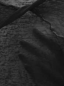 DAZY Solid Drop Shoulder Crop Top Without Cami Top,Fall Clothes Long Sleeve Women Tops - Black - View 5