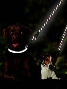 Dây nylon kéo vật nuôi hai đầu - trái cam - Xem 6