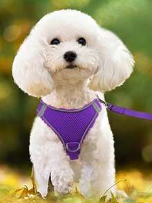 1pc Breathable Pet Harness For Dog For Outdoor - Purple - View 6