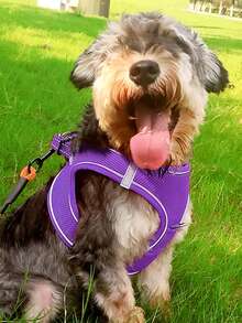 1pc Breathable Pet Harness For Dog For Outdoor - Purple - View 9
