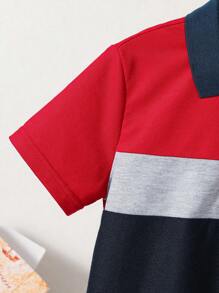 SHEIN Chicos Camisa polo de color combinado - Multicolor - Ver 4