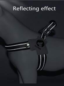 Adjustable And Reflective Comfortable Pet Collar Chest Back Strap For Medium-Sized Dogs, Fashionable And Lightweight Dog Leash Backpack For Outdoor Activities - Black - View 5