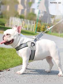 Adjustable And Reflective Comfortable Pet Collar Chest Back Strap For Medium-Sized Dogs, Fashionable And Lightweight Dog Leash Backpack For Outdoor Activities - Black - View 6