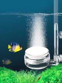 1 件装塑料水族箱空气盘增氧器、可拆卸气石增氧器、水族箱和鱼类用品、鱼缸和配件 - 彩色 - 查看 6