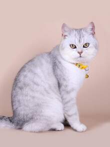 1入組卡通圖案隨機寵物項圈 - 彩色 - 查看 2