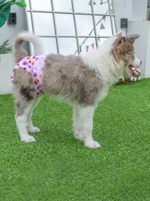 1片花卉图案宠物尿布，适用于猫狗，呵护宠物健康 - 粉色 - 查看 9