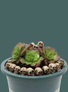 20pcs Skull Design Ornament For Aquarium For Decoration - Multicolor - View 6