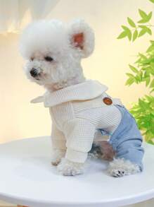 1 bộ áo liền quần thú cưng thêu cà phê cho chó và mèo cho cả mùa - Màu xanh lam - Xem 4