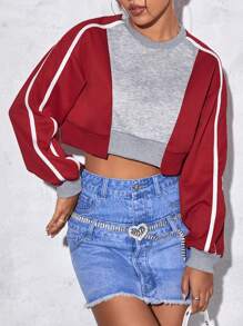 SHEINNeu Colourblock Contrast Binding Drop Shoulder Crop Sweatshirt - Multicolor - View 1