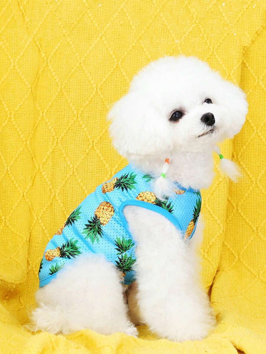 1PC Bình In Hình Quả Dứa Cho Chó Và Mèo Cho Mùa Hè - Màu xanh lam - Xem 1