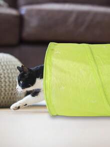 2pcs Pom Pom Decor Cat Tunnel & Cat Teaser Stick For Cat For Playing - Green - View 6