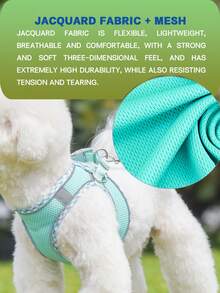 Correa para el pecho y portador trasero para mascotas con una correa, transpirable para las cuatro estaciones, adecuado para perros pequeños - verde menta - Ver 3