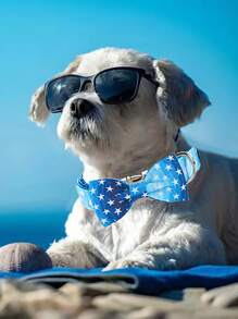 1pc Star Pattern Pet Collar For Dog For Outdoor - Blue - View 2