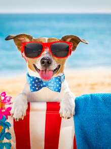 1pc Star Pattern Pet Collar For Dog For Outdoor - Blue - View 4