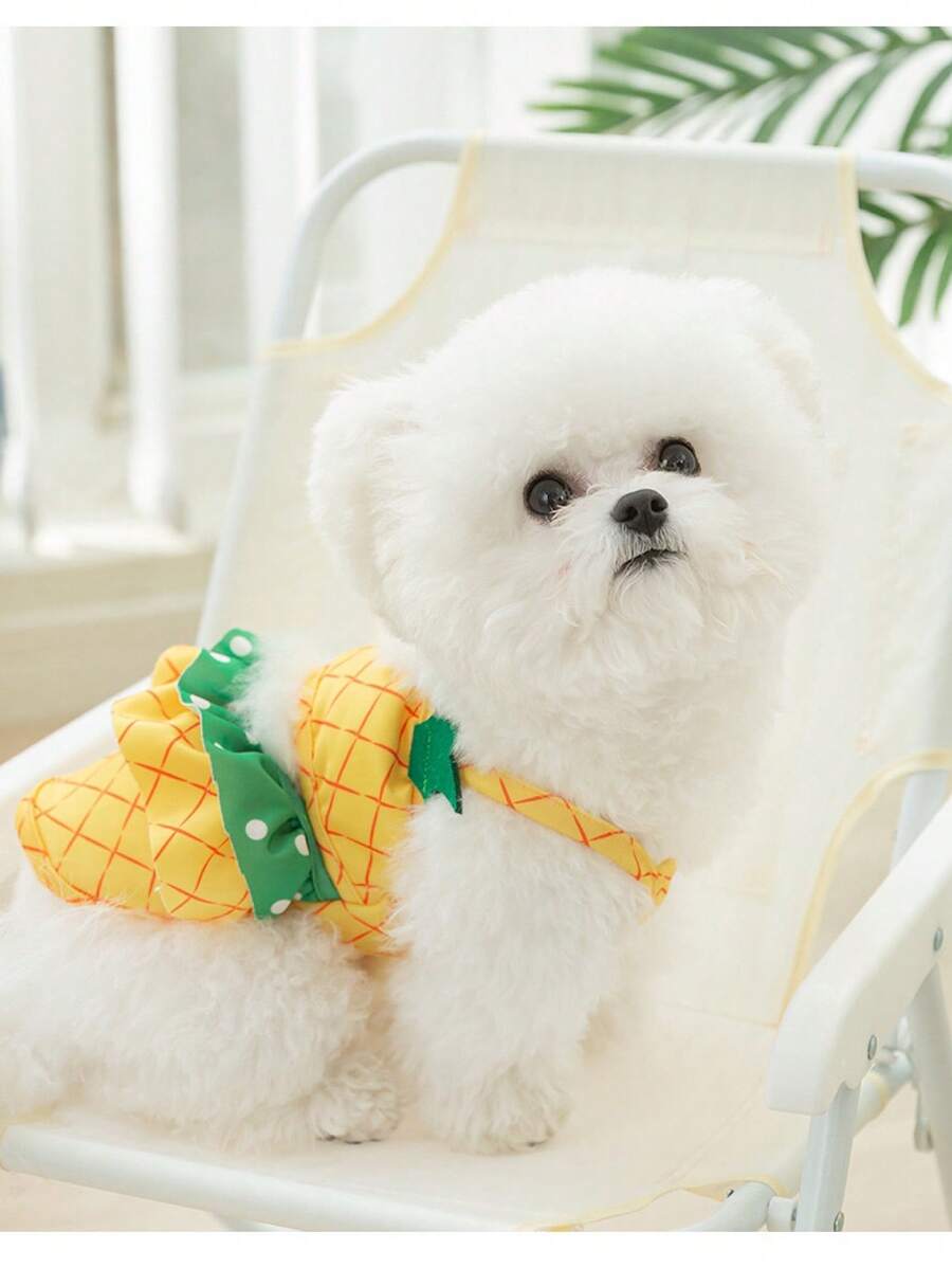 寵物服飾 - 黃色 - 查看 1