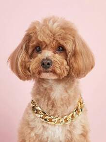 Vòng cổ thú cưng thiết kế dây chuyền 1 cái - Vàng - Xem 1