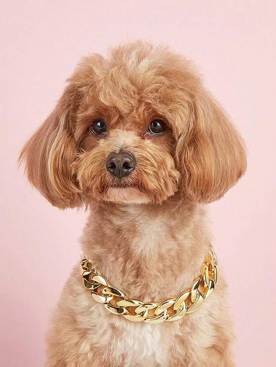 Vòng cổ thú cưng thiết kế dây chuyền 1 cái - Vàng - Xem 1