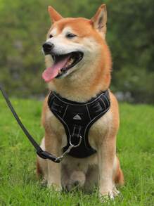 1 Miếng Đồ họa Chữ cái Phản chiếu Chi tiết Dây nịt cho thú cưng & Dây xích , Đơn giản Polyamide Dây nịt cho thú cưng & Dây xích Đối với Chó Và Mèo Đối với Ngoài trời - màu đen - Xem 1