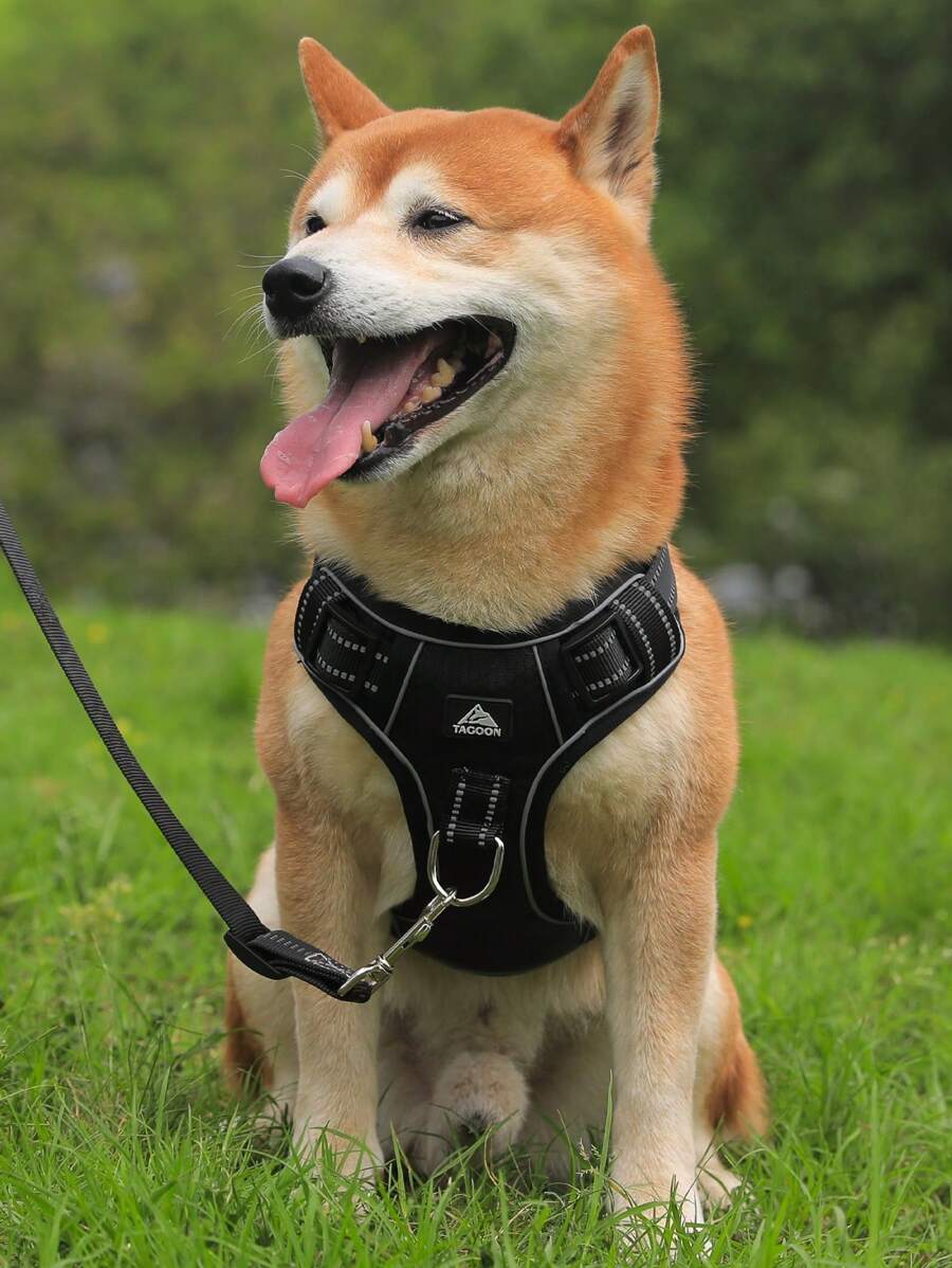 1 Miếng Đồ họa Chữ cái Phản chiếu Chi tiết Dây nịt cho thú cưng & Dây xích , Đơn giản Polyamide Dây nịt cho thú cưng & Dây xích Đối với Chó Và Mèo Đối với Ngoài trời - màu đen - Xem 1