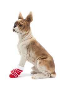 4 pièces/set Chaussettes d'intérieur pour animaux de compagnie, motif flocon de neige de Noël rouge, antidérapant, anti-salissure, insonorisant, convient pour les chiens de 10 à 40 kg - Rouge et Blanc - Voir 4