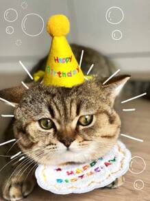1 件宠物生日帽和 1 件口号刺绣宠物围兜，猫狗生日派对装饰 - 黃色 - 查看 4