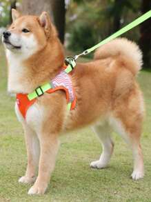 1 pieza con patrón de cheurón Arnés para mascotas con Correa para gatos & perros