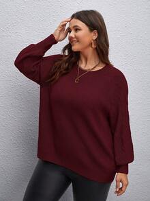 SHEIN LUNE Plus Raglan Sleeve Sweater